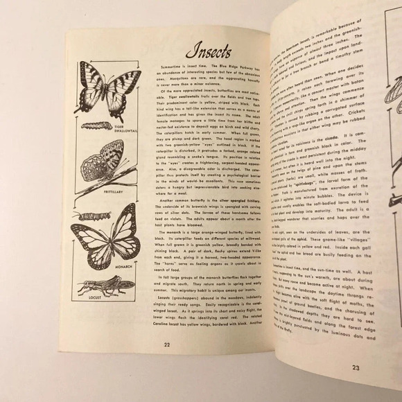 Vintage 1977 Nature Along The Blue Ridge Parkway Travel North Carolina Booklet - Picture 11 of 16